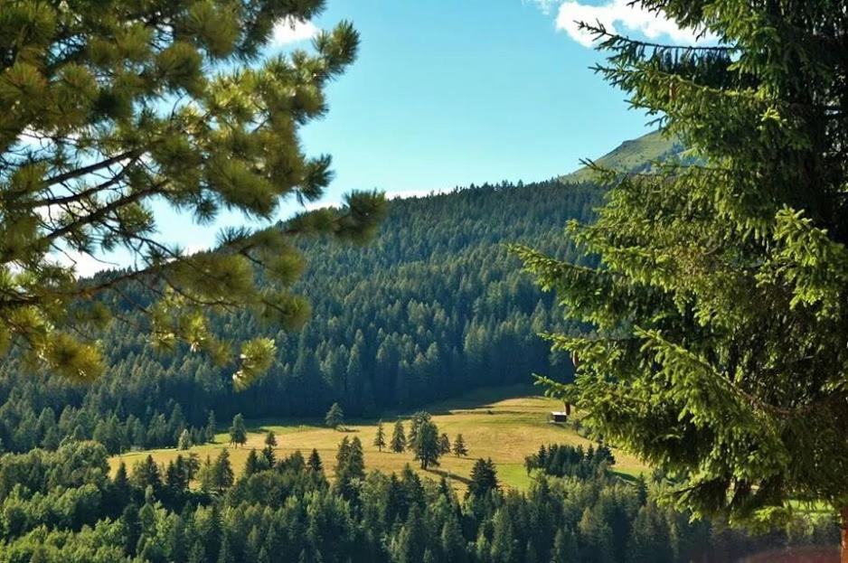 Ciasa Alpina Relax Hotel Moena Dış mekan fotoğraf