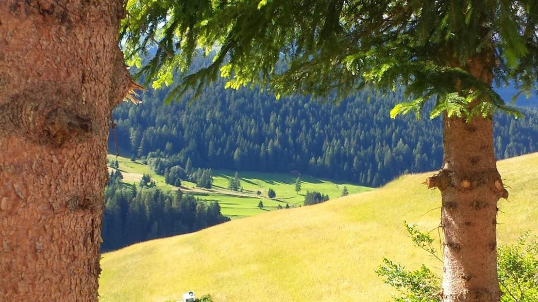 Ciasa Alpina Relax Hotel Moena Dış mekan fotoğraf
