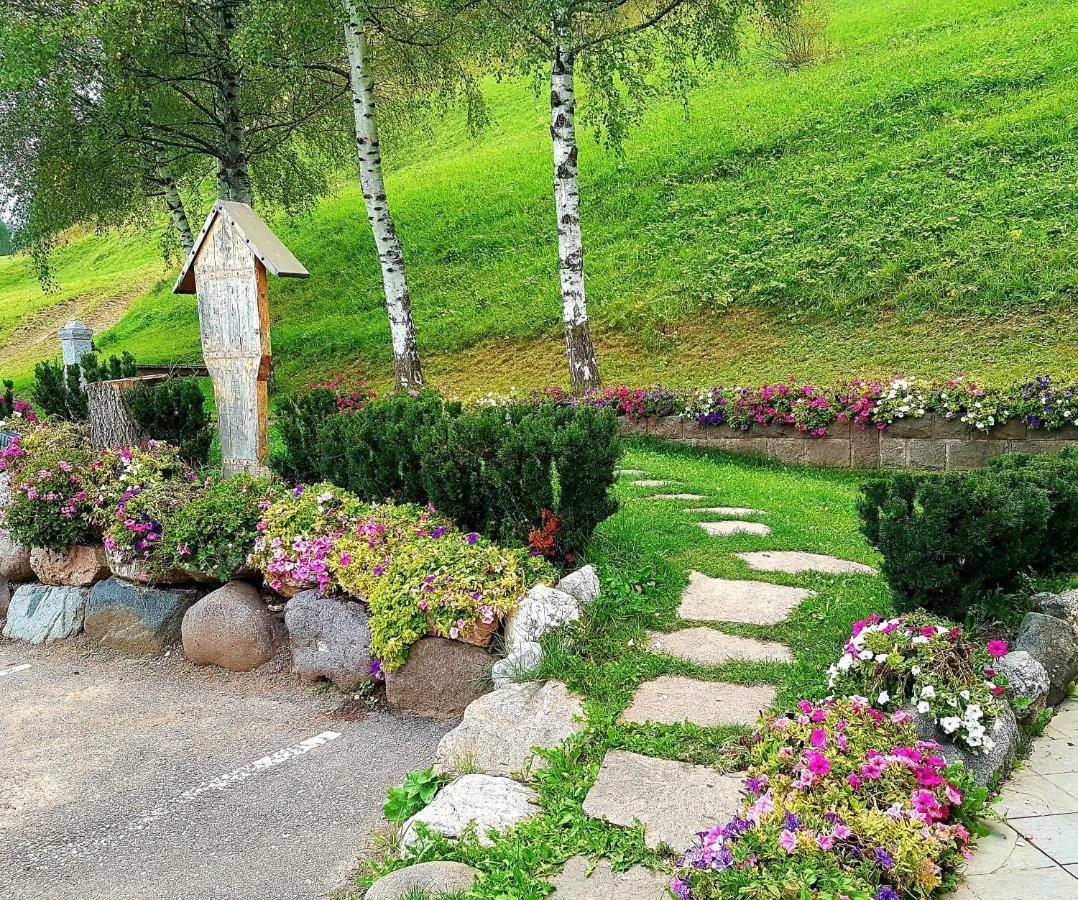 Ciasa Alpina Relax Hotel Moena Dış mekan fotoğraf